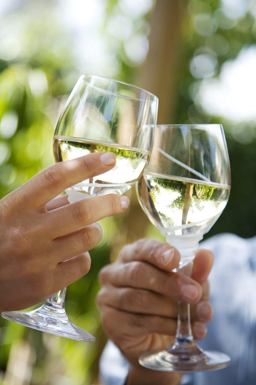 Two hands hold glasses of white wine, clinking them together in a toast against a blurred green background.