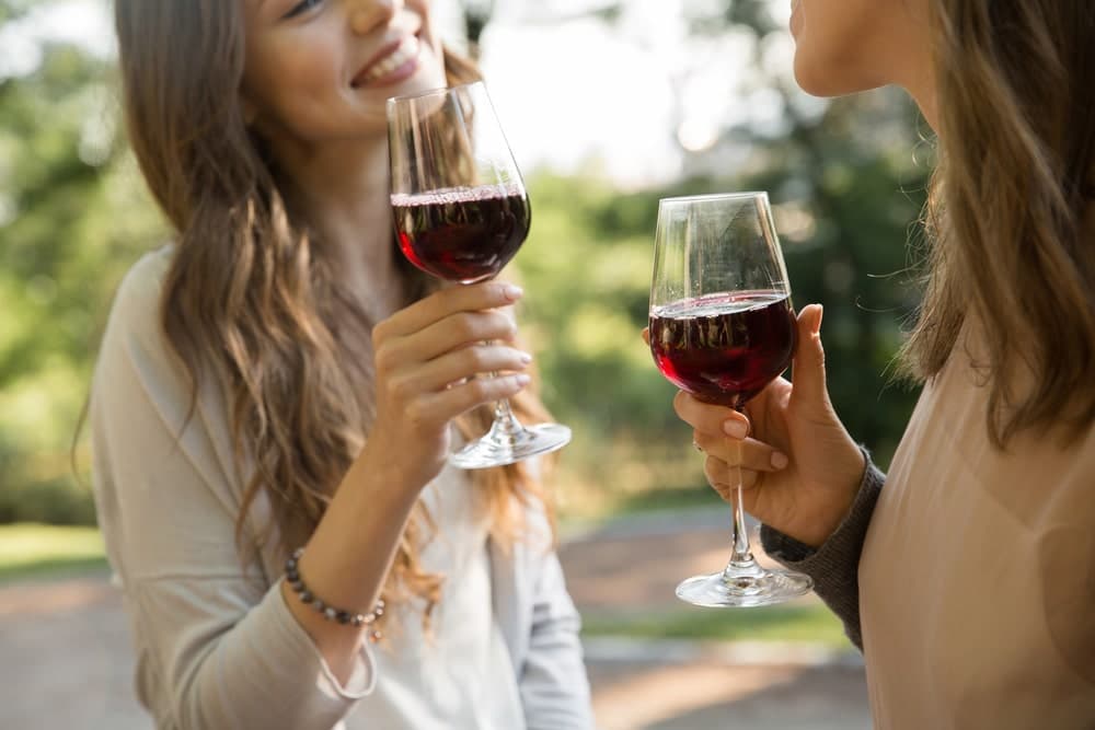 Two women toast with glasses of red wine outdoors, smiling at each other.