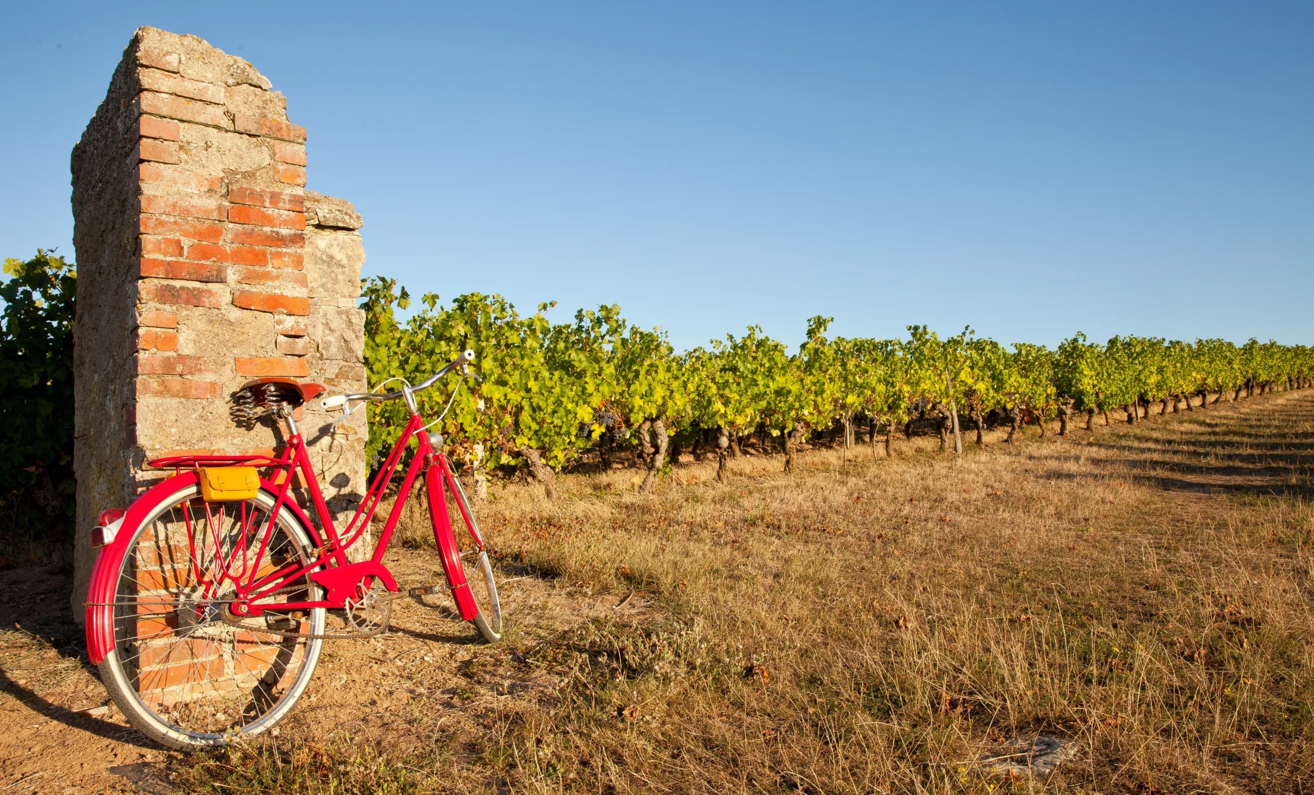 A red bicycle leaning against a brick wall in a vineyard.