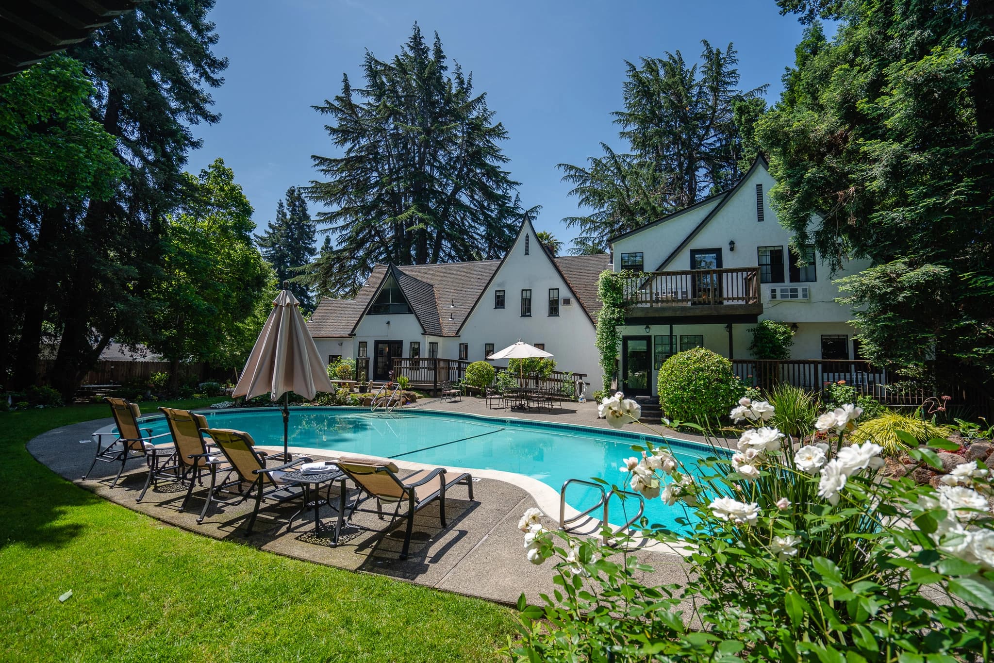 A sunny backyard featuring a pool, loungers, and a house surrounded by trees. A sunny backyard featuring a pool, loungers, and a house surrounded by trees.