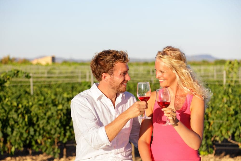 A man and woman toast with glasses of wine in a vineyard.