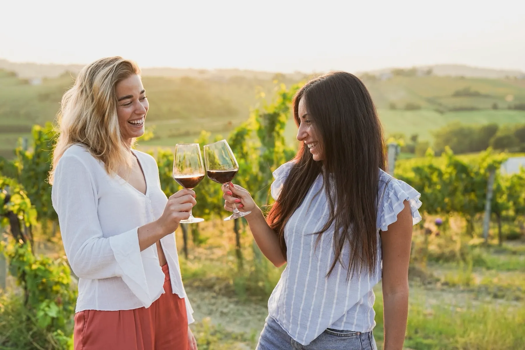 Two women toast with glasses of red wine in a vineyard at sunset.