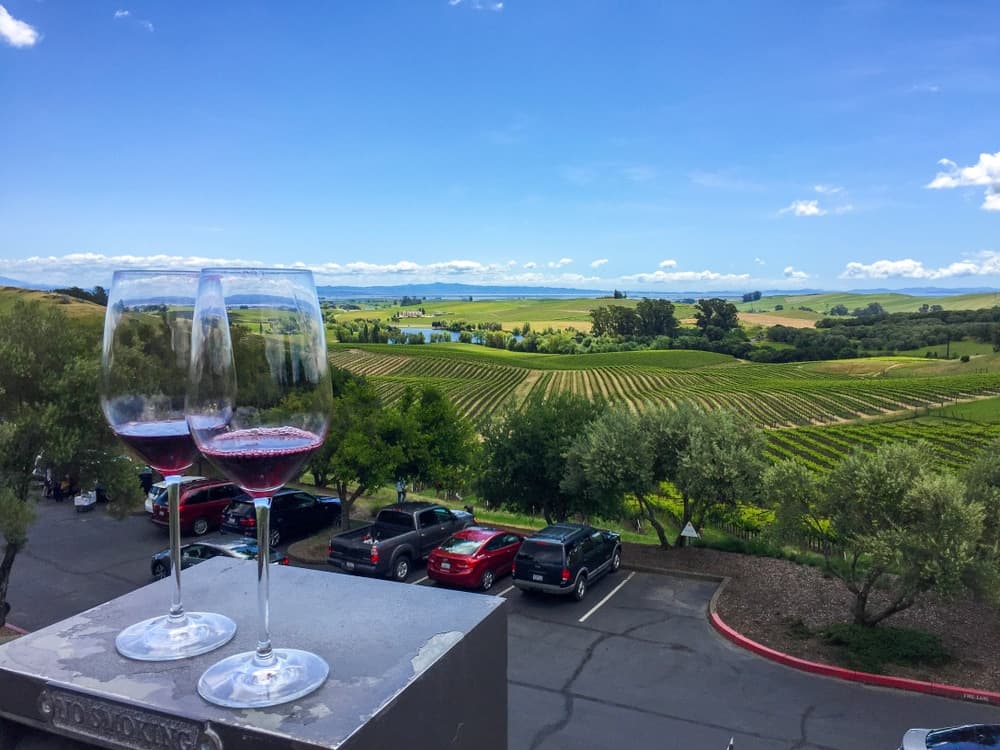 Two wine glasses overlook a lush vineyard under a blue sky.