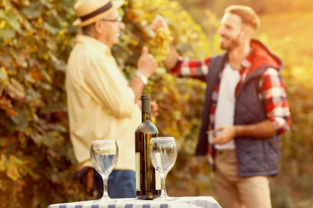 Two men enjoy a conversation in a vineyard, with a bottle of wine and glasses on a table.