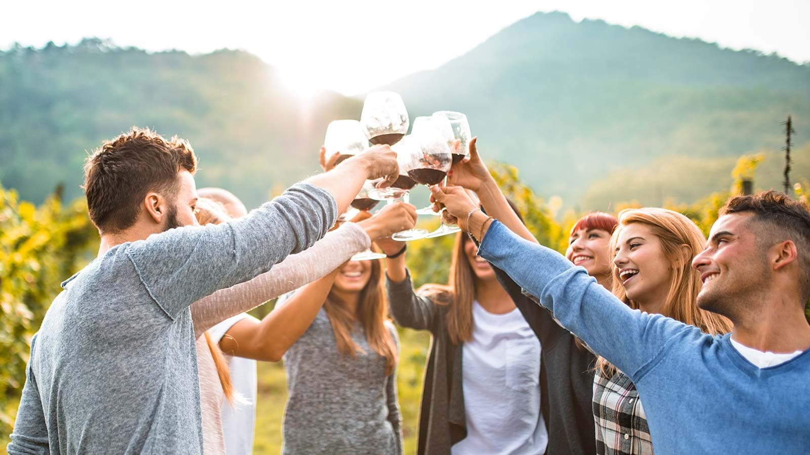 A group of friends cheers with wine glasses in a vineyard, surrounded by mountains.