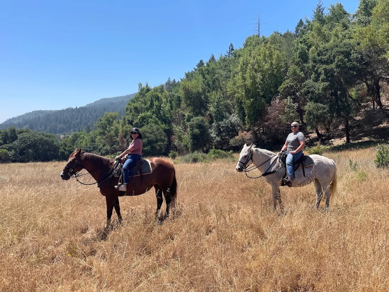 Two horseback riders in a grassy field surrounded by trees on a sunny day.