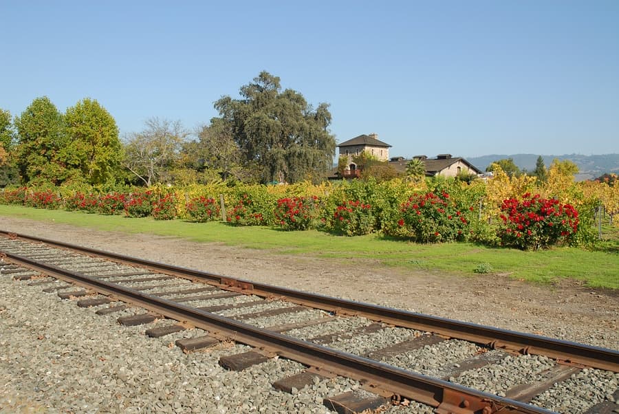 A view of railway tracks beside a lush garden with colorful flowers and a house in the background.