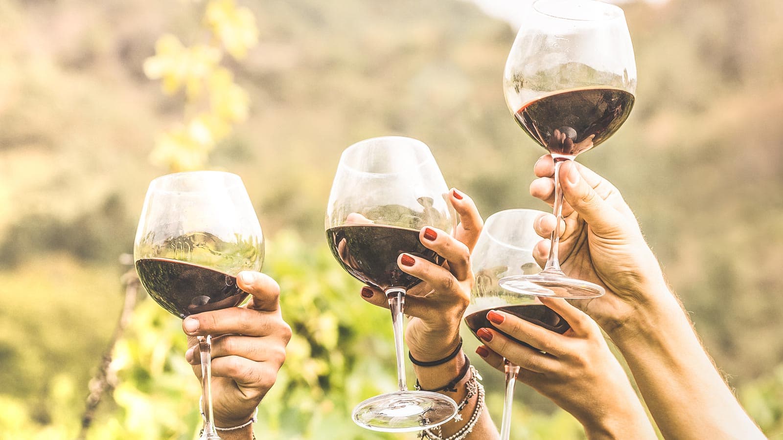Four hands holding glasses of red wine in a toast against a scenic background.