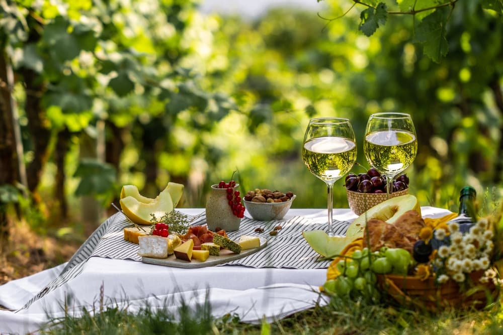A picnic spread with wine glasses, cheese, fruits, nuts, and bread set among vineyard rows.
