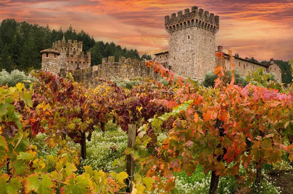 A picturesque vineyard with autumn foliage in front of a stone castle against a vibrant sunset. A picturesque vineyard with autumn foliage in front of a stone castle against a vibrant sunset.