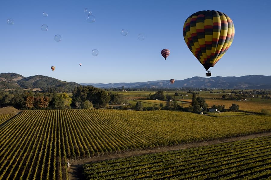 Colorful hot air balloons soar over a lush vineyard landscape with bubbles floating in the sky.