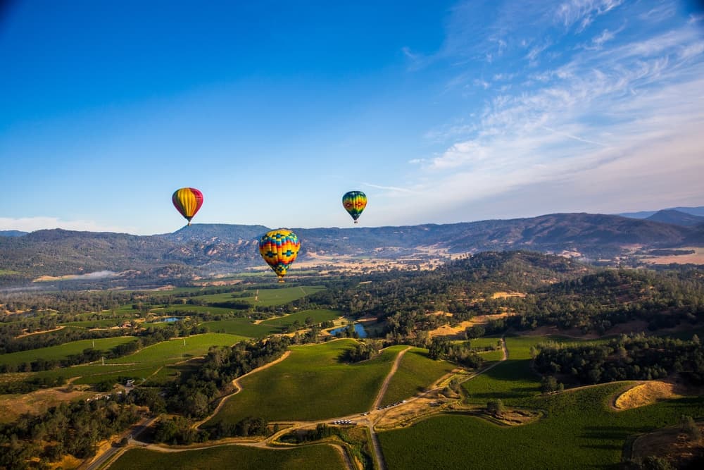 Three colorful hot air balloons float above a lush green landscape under a clear blue sky.