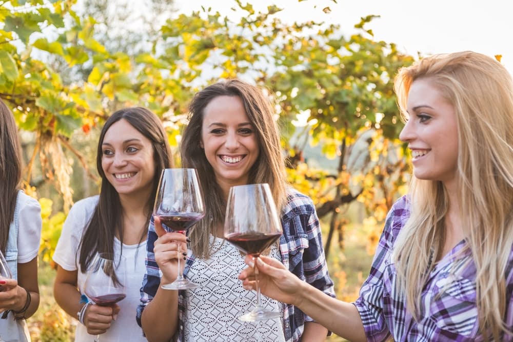 Three women joyfully toast with wine glasses in a vineyard during sunset.