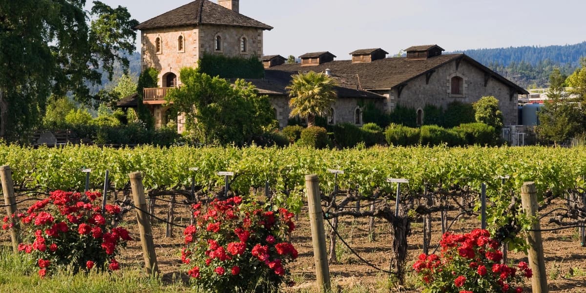 A rustic stone winery surrounded by lush vineyards and blooming roses.