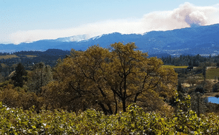 wildfires in Napa, but we're still open for business