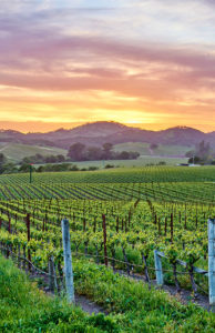 3 day Guide to Napa Valley