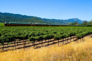 Murder Mystery aboard the Napa Valley Wine Train