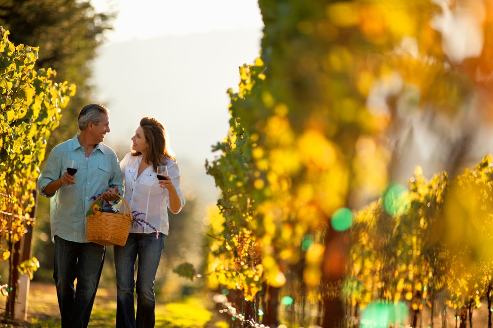 Best Time to Visit Napa Valley