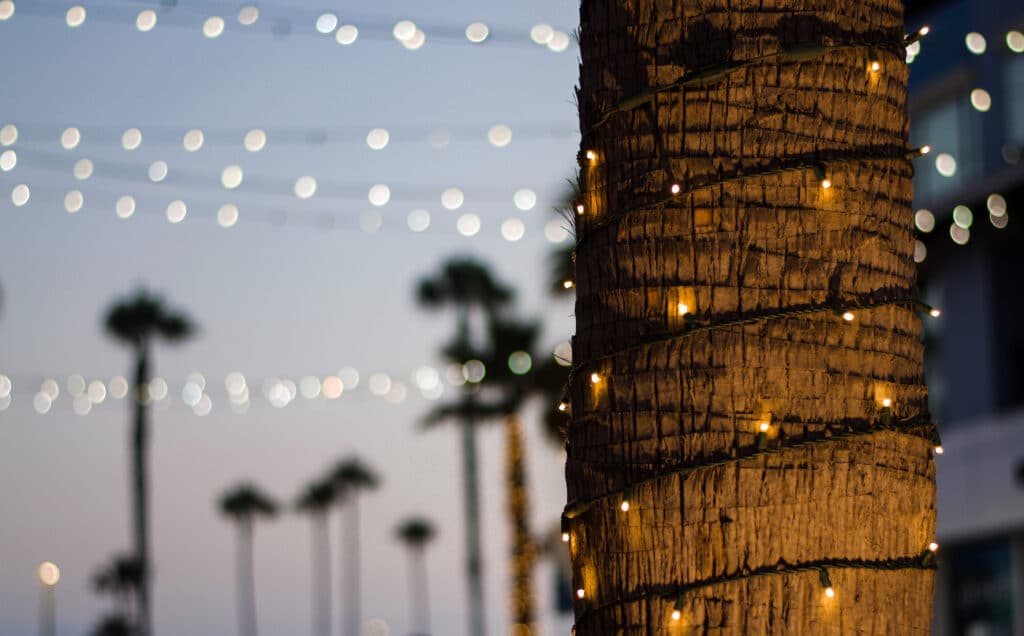 Christmas in Napa Valley