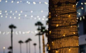 Christmas in Napa Valley