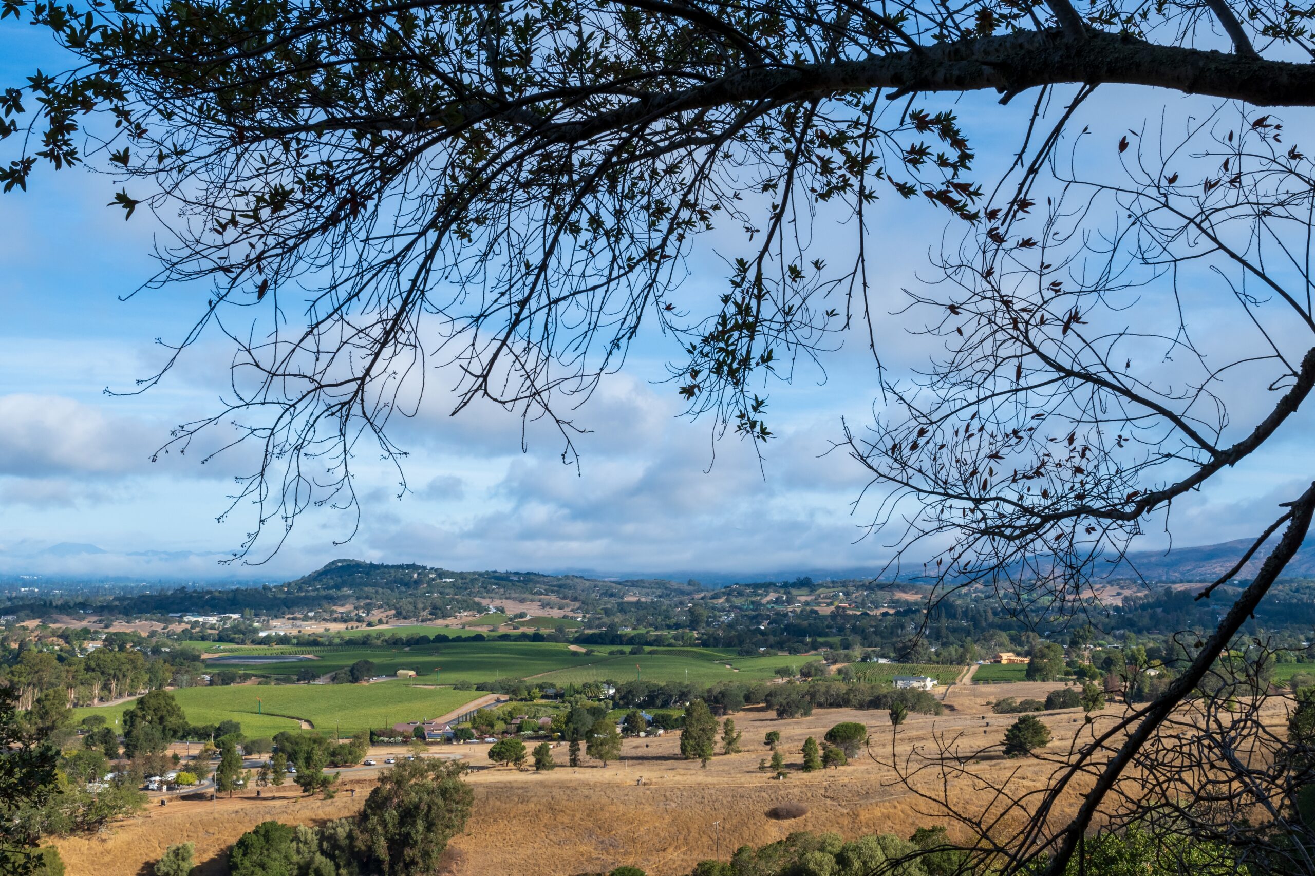 SKYLINE WILDERNESS PARK NAPA