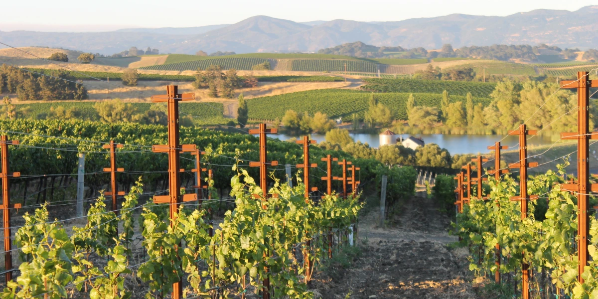 Wine Tasting in Napa Valley, CA